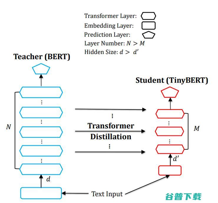 加速BERT模型有多少种方法？从架构优化、模型压缩到模型蒸馏，最新进展详解！