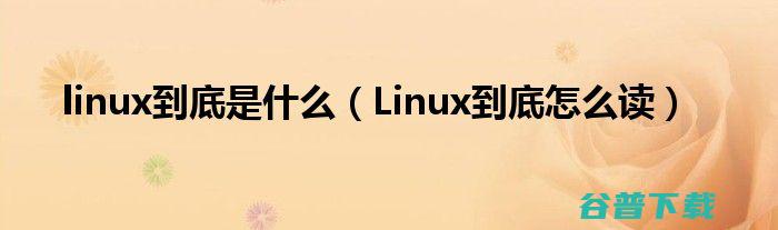 而Linux赢得整个世界 Windows赢了桌面