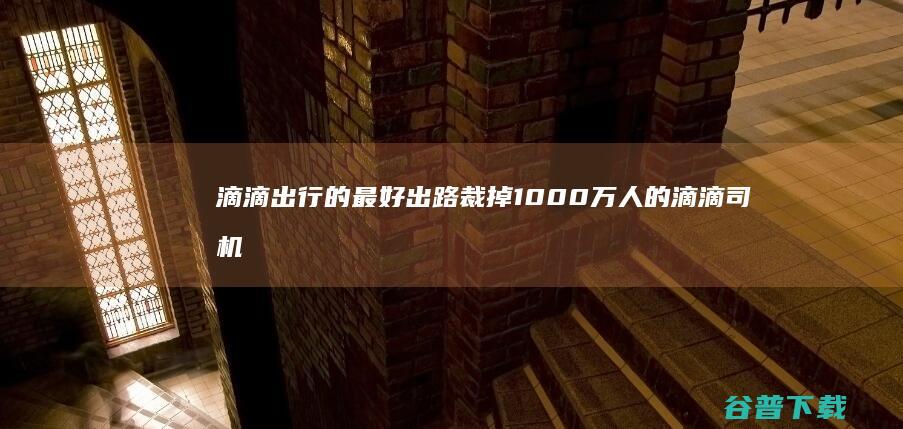 滴滴出行的最好出路 裁掉1000万人的滴滴司机 (滴滴出行的最大股东是谁)