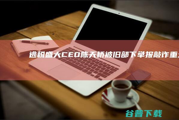 逃税 盛大CEO陈天桥被旧部下举报敲诈 (重大逃税案例)