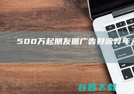 500万起 朋友圈广告好流弊 年入100亿 (500万dl)