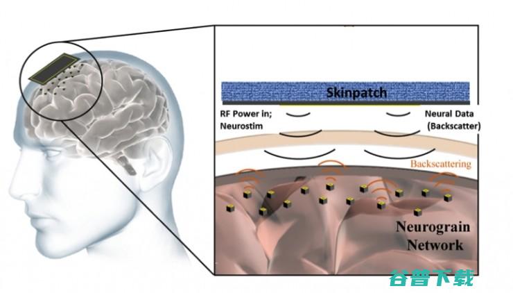 DARPA 拨款 6500 万美元用于脑机接口研发，一起来看各顶尖研究机构的脑洞