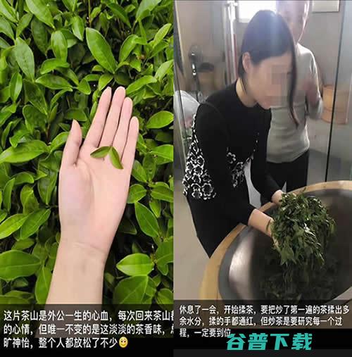 特大网络诈骗被查获 微信卖茶叶 (特大网络诈骗案)