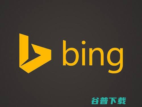 搜索的新长青 Bingbot Bing