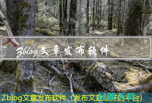 Zblog出现数据库连接错误