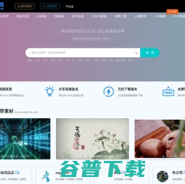 凌点视频素材网