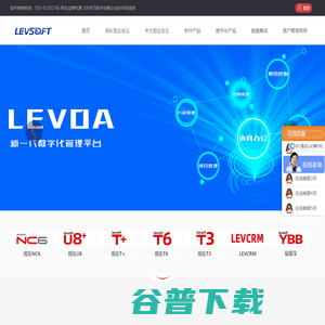 LEVCRM