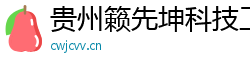 贵州籁先坤科技工作室（个人独资）