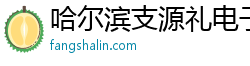 哈尔滨支源礼电子科技有限公司