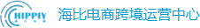 福州亚马逊代运营公司,亚马逊代运营服务公司,跨境电商代运营服务公司,亚马逊业务代运营,亚马逊电商运营外包,Amazon电商代运营,亚马逊品牌出海服务,海外电商店铺托管,海比电商