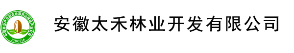 中国林业产业联合会薄壳山核桃产业分会