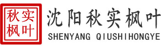 沈阳庆典礼仪活动策划公司,舞台搭建租赁